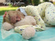 adult baby pajama frotte deluxe color+