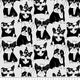 ADULT BABY RUCKSACK WASSERDICHTES STOFF  BULDOGS ON GREY BACKGROUND